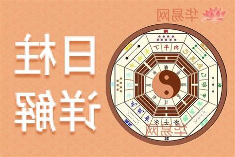 己巳 日柱